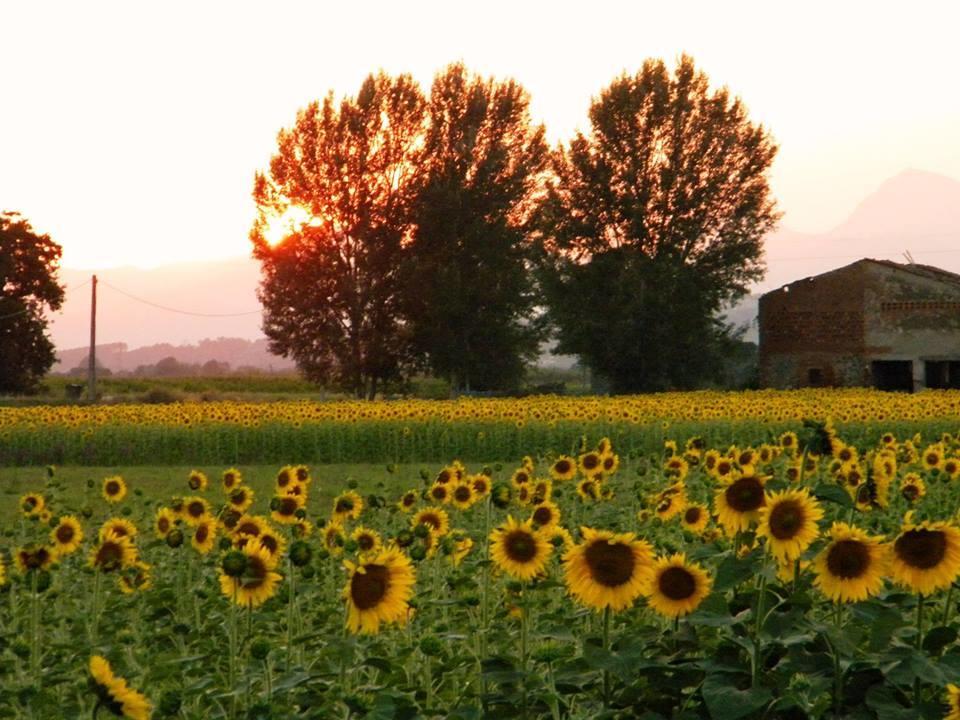 Agriturismo Settepassi Tuscany Ponte Buggianese ภายนอก รูปภาพ